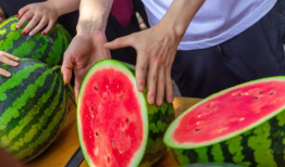 51今日黑瓜吃料爆料15,揭秘15号神秘爆料背后的真相